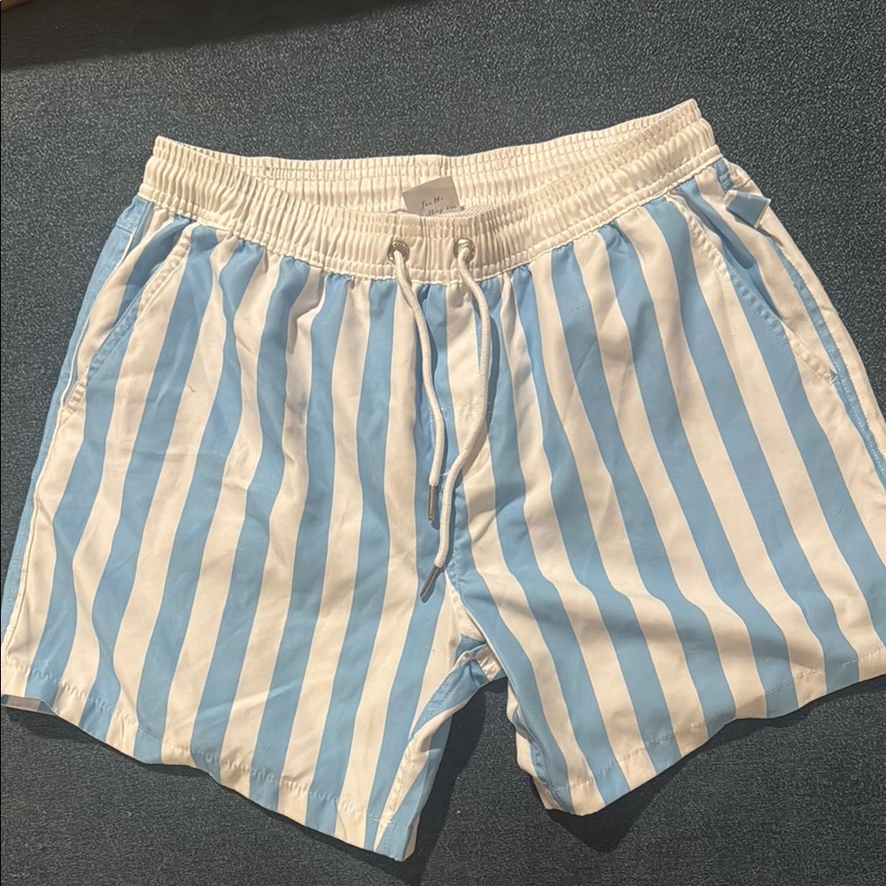 Men’s Blue and White Striped Swim Shorts Vacay brand